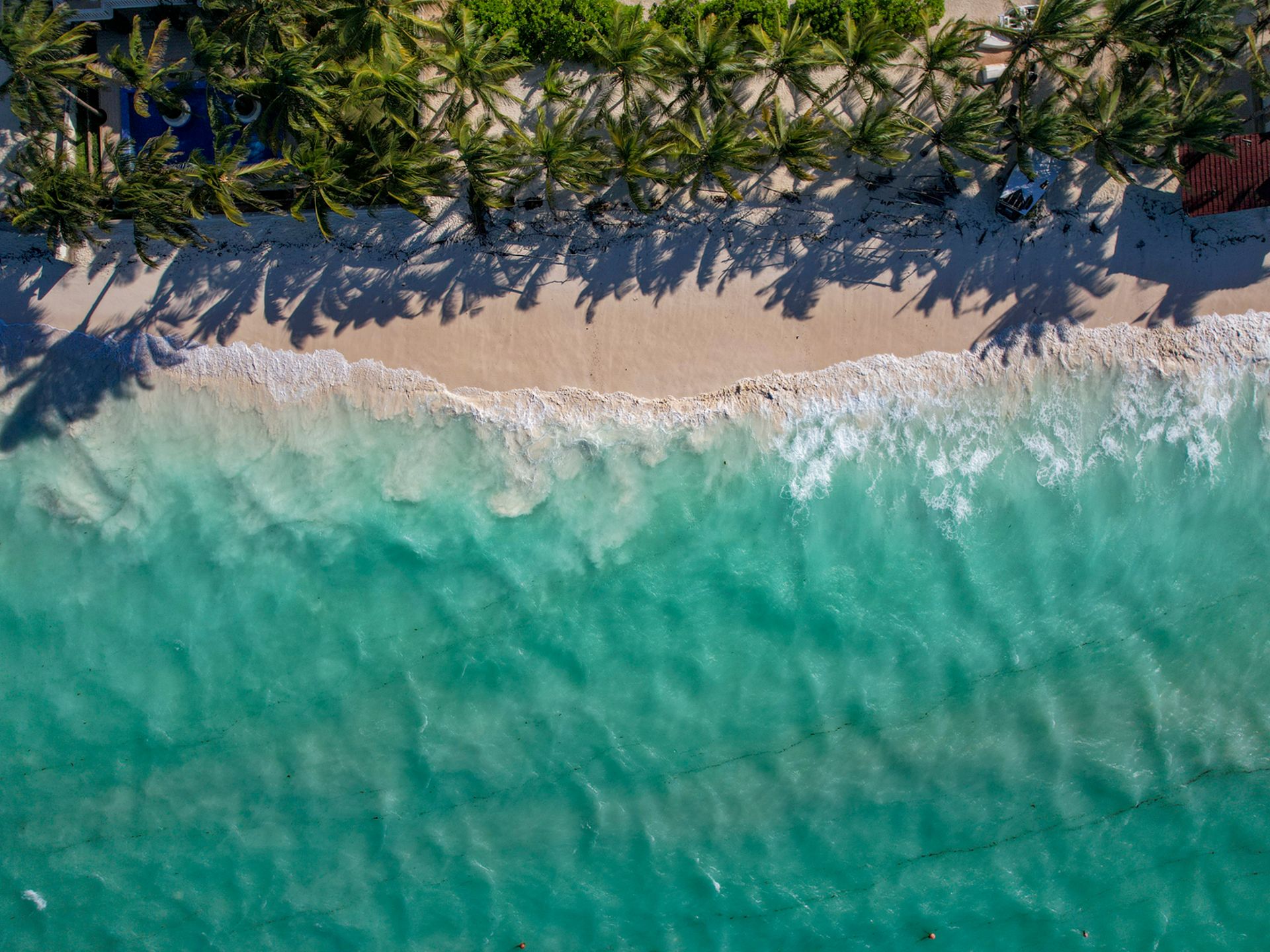 The photo shows a breathtaking aerial view of a tropical beach with bright sand and turquoise ocean water. Waves gently break along the shore, while palm trees cast long shadows across the sand.