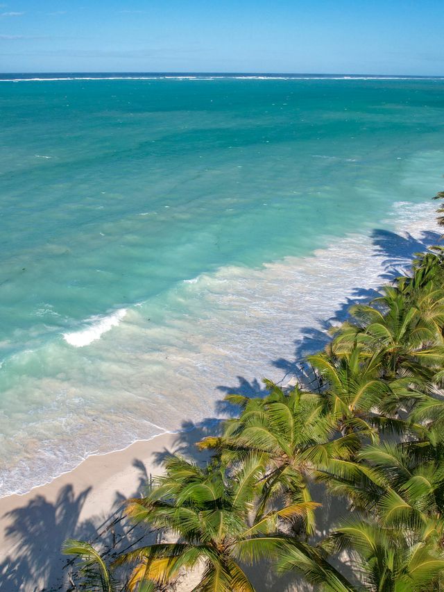 The photo shows a picturesque tropical beach with bright sand and turquoise ocean water. Dense palm trees line the shore, casting shadows onto the sand. The whole scene creates a peaceful, exotic landscape perfect for a relaxing holiday.